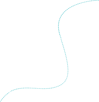 shape